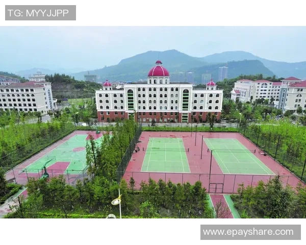 重庆网球队在钻石联赛中的崛起与成长历程全景回顾